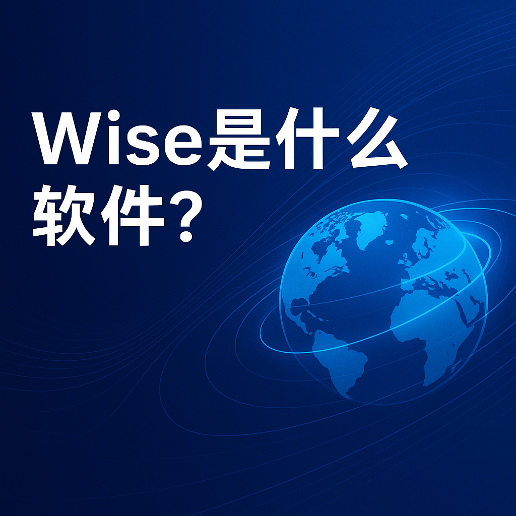 Wise是做什么的?功能与用途详解