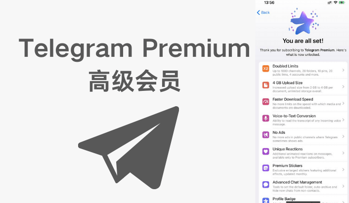 Telegram 会员能带来什么好处？
